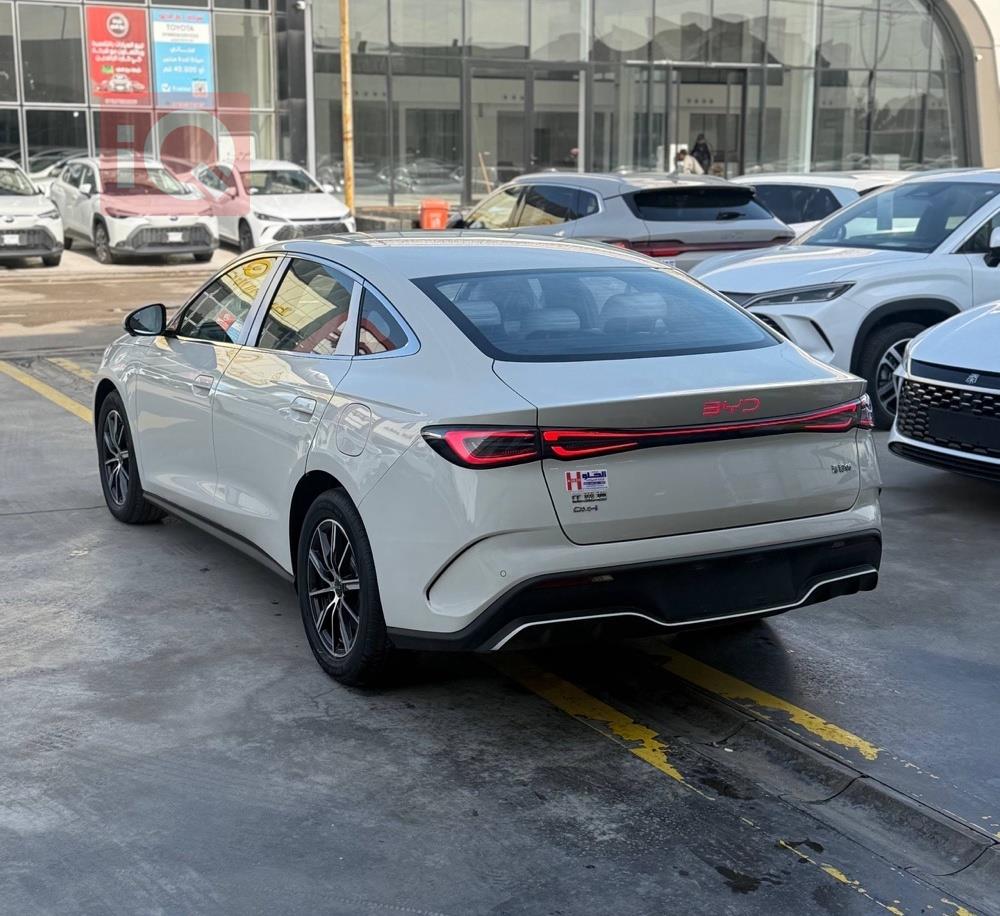 بي واي دي سيل 06 DM-i